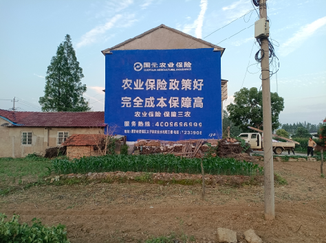 宜君墙体广告为何受追捧？